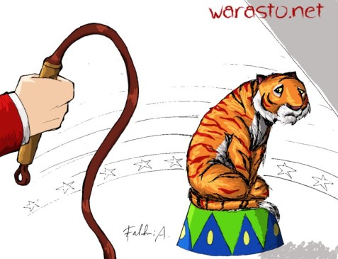tiger